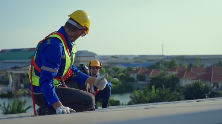 Steel Roofing in Raymond, IL